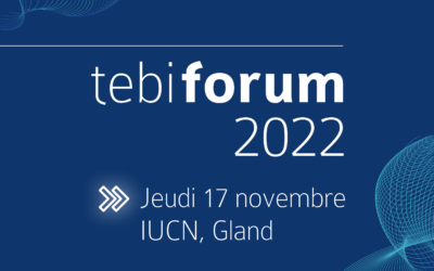 tebiforum 2022